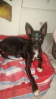 Ayka