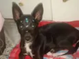Ayka