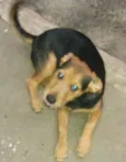 FOFINHO