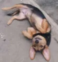 FOFINHO
