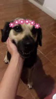 Princesa
