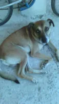 Boby