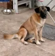 Lola