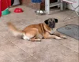 Lola