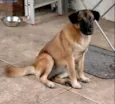 Lola