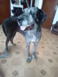 Vitória 