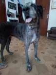 Vitória 