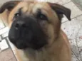 Bebê