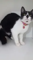 Penelope