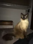 Nick