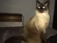 Nick