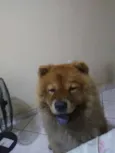 Yuk