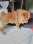 Yuk