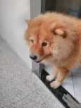 Yuk