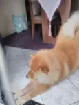 Yuk