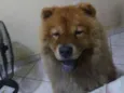 Yuk