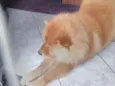 Yuk