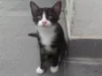 PAOLO