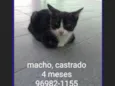 PAOLO