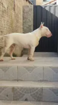 Marley