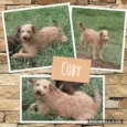 COBY!!!