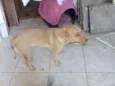 Kira