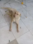 Kira