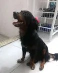 Penélope