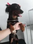 Penélope