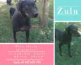 Zulu