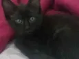 Drácula