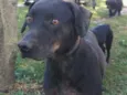 Zulu