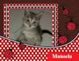 Manoela