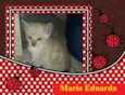 Manoela