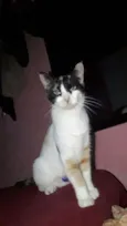 Branquinha