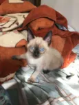 Danilo