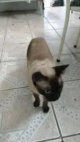 São vários, não sei