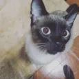 Lourenço