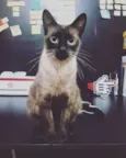 Lourenço