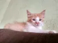 Ainda não tem none