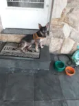 Maya