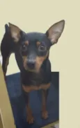 Ralf