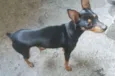 Ralf