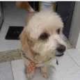Jake