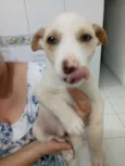 Não tem