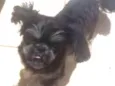 chiquinho