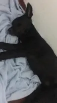 Não tem