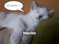 Sem nome