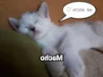 Sem nome