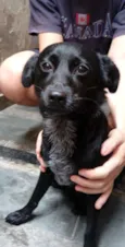 Bob